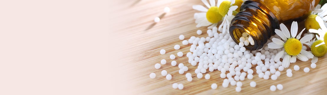 Schüßler Globuli 1-27  lactosefrei