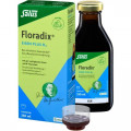 FLORADIX Eisen plus B12 vegan Tonikum