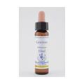 BACHBLÜTEN Gentian Healing Herbs Tropfen