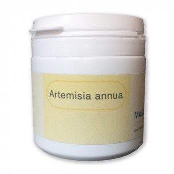 ARTEMISIA ANNUA Pulver Räucherwerk